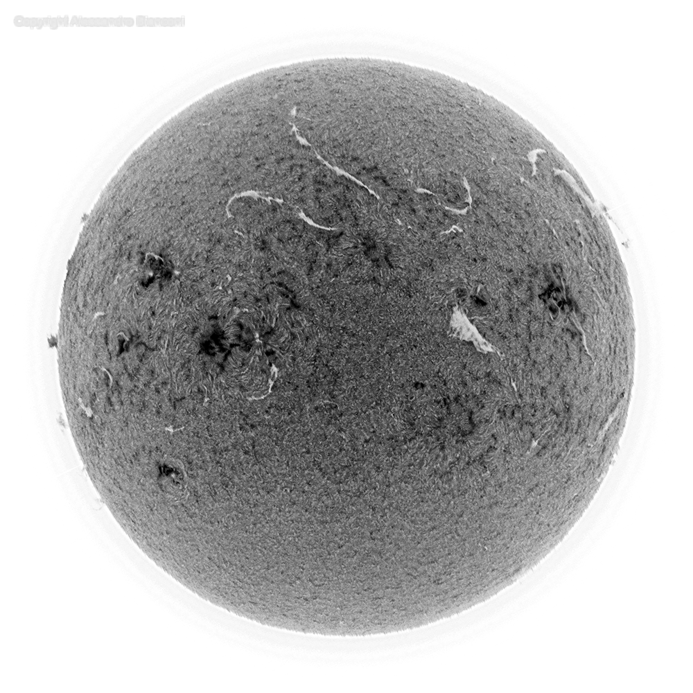 MLASTRO SHG 700 SPECTROHELIOGRAPH