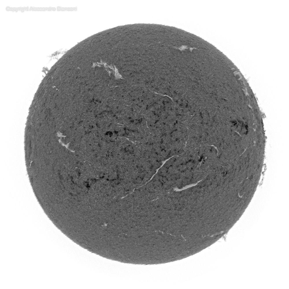 MLASTRO SHG 700 SPECTROHELIOGRAPH